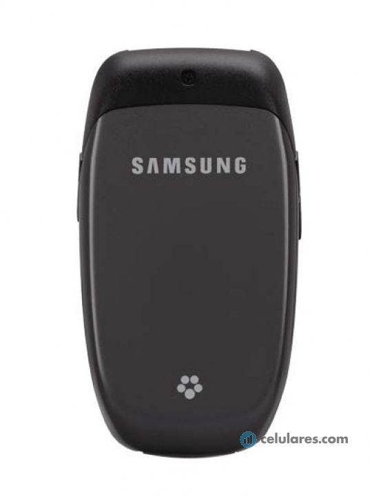 Imagen 3 Samsung SGH-T419